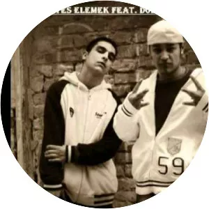 Weszélyes elemek - Musical artist