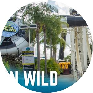 Wet 'n Wild Orlando