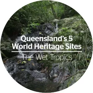 Wet Tropics of Queensland