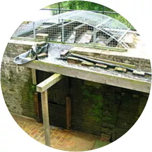 Wey and Arun Canal - Canal in England