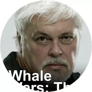 Whale Wars