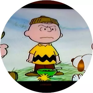 What Have We Learned, Charlie Brown? - Television program