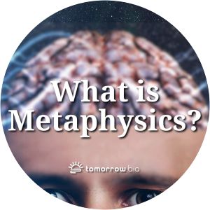 What Is Metaphysics?