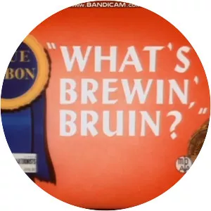 What's Brewin', Bruin?