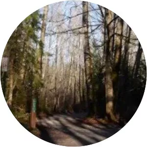 Whatcom Falls Park - 