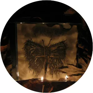 When Bitter Spring Sleeps - Musical group