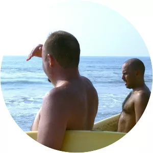 When Sharks Attack: Deep Dives - TV program