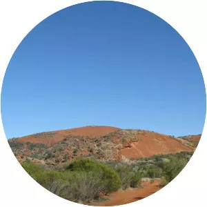 Where The Wild Men Are With Ben Fogle - TV program