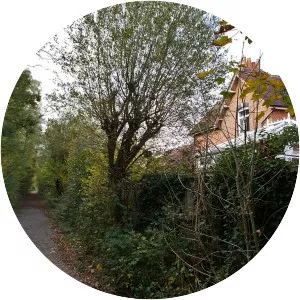 Whippingham railway station photograph