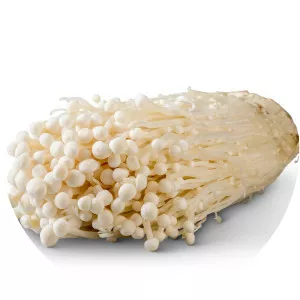 White beech mushroom