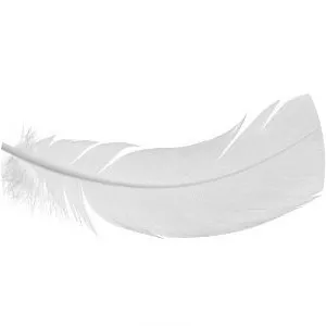 White feather