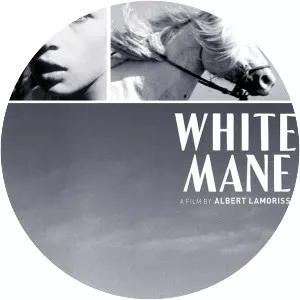 White Mane: The Wild Horse