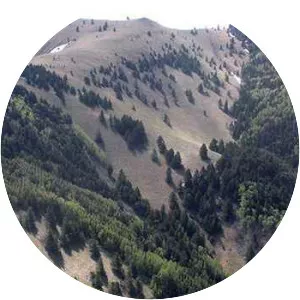 White Mountain Wilderness - 