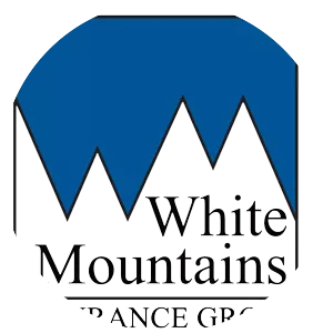 White Mountains Insurance Group