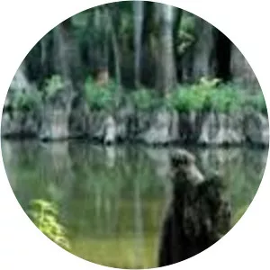 White River National Wildlife Refuge - 