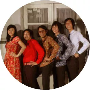 White Shoes and The Couples Company - Pop band