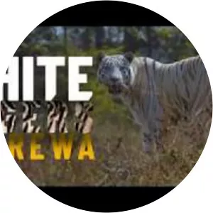 White Tiger Safari & Zoo, Mukundpur, Rewa, Madhya Pradesh