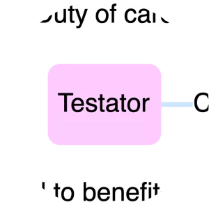 White v Jones - Legal case