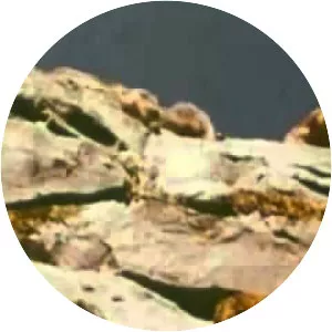 White Wilderness - 1958 ‧ Documentary ‧ 1h 12m