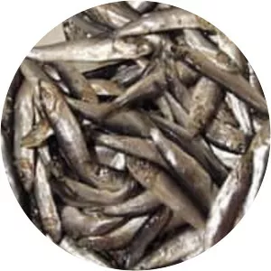 Whitebait
