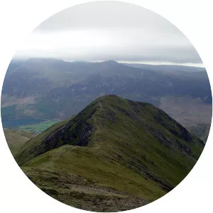 Whiteless Pike