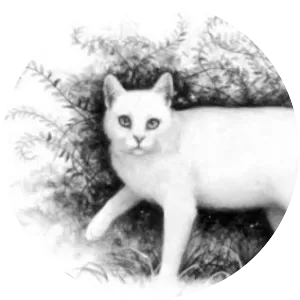 Whitewing - Fictional character