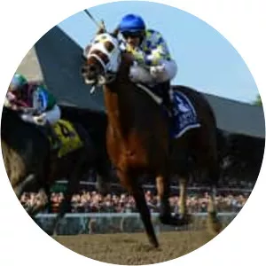 Whitney Handicap - 