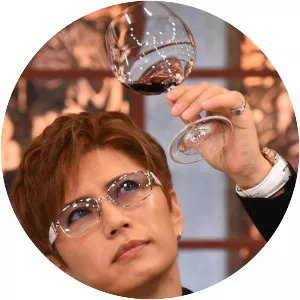 Who Is The Real Celebrity? - TV program