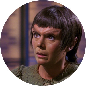 Who Watches the Watchers