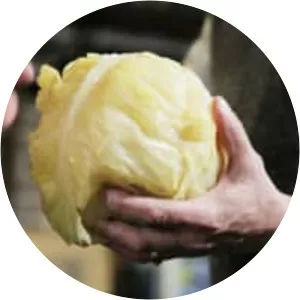 Whole sour cabbage