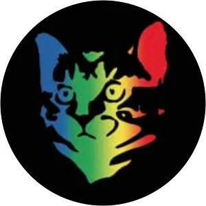 Whoopie Cat - Musical group