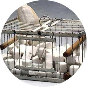 Why Not Sneeze, Rose Sélavy?