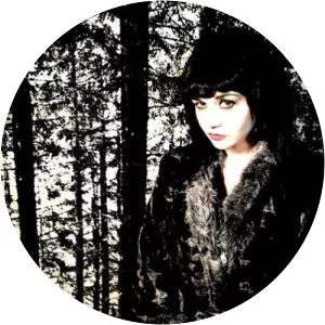 wichswut vv & the void