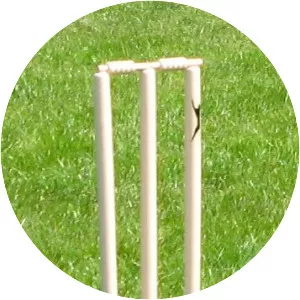 Wicket - 