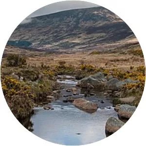 Wicklow Mountains - Mountain chain in the Republic of Ireland