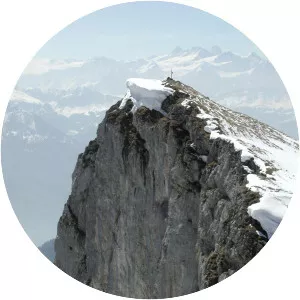 Widderfeld photograph