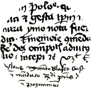 Wielkopolska Chronicle - Book