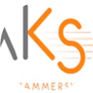 Wiener Kammersymphonie