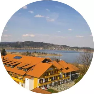 Wies Bauer - Frans Bauer's mother