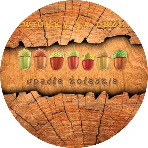 Wiewiórka na Drzewie - Musical group