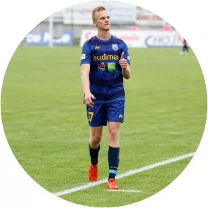 Wiktor Biedrzycki - Football player