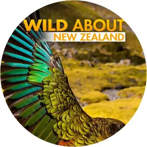 Wild About New Zealand