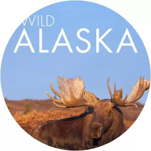 Wild Alaska - TV program
