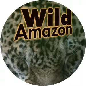 Wild Amazon photograph