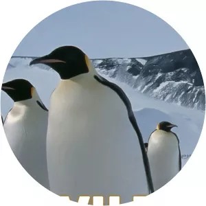 Wild Antarctica - TV program