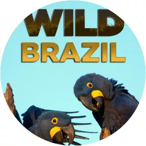 Wild Brazil