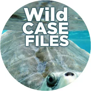 Wild Case Files