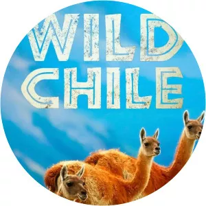 Wild ChileSince 2018