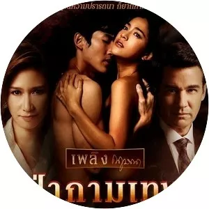 Wild Cupid - TV program