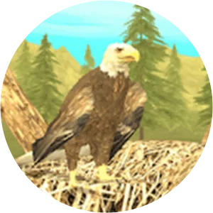 Wild Eagle Sim 3D